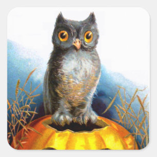 Ellen H. Clapsaddle: Halloween Owl Square Sticker