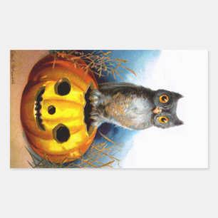 Ellen H. Clapsaddle: Halloween Owl Sticker