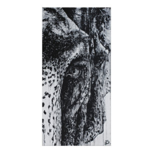 Ellie Elephant Asian Wildlife Jungle Animal Art Photo Print