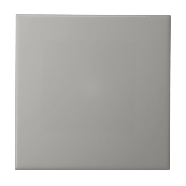 Ellie's Neutral Grey Square Kitchen and Bathroom Tile (Front)