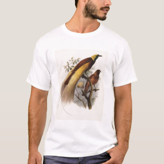 Elliot - Paradisea apoda -Greater Bird Of Paradise T-Shirt