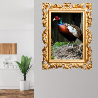 Elliot's Pheasant