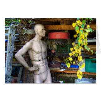 Ellis Garden III