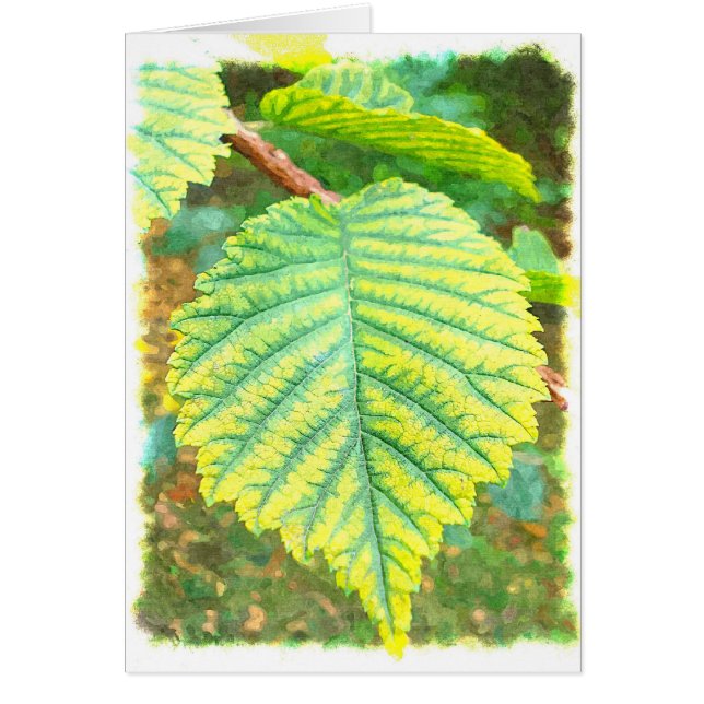 Elm Leaf in Autumn (Front)