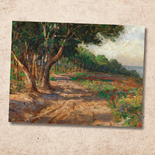 Elm-lined Promenade in Euxinograd Postcard