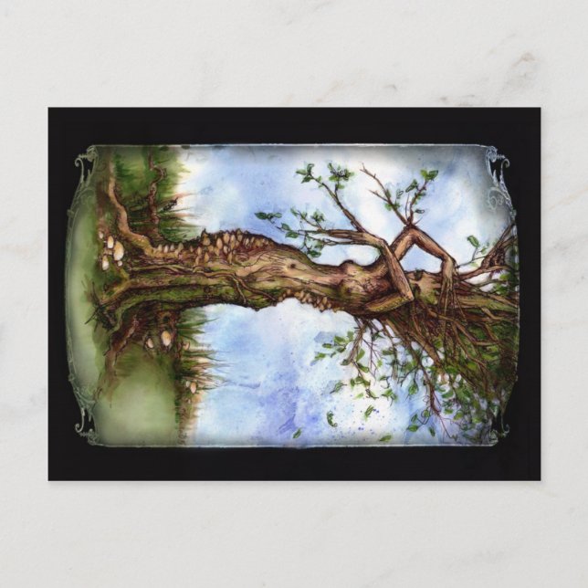 Elm Maid Postcard (Front)