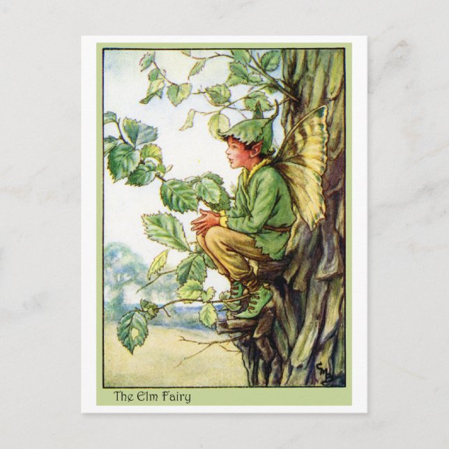 Elm Tree Fairy Postcard (Front)