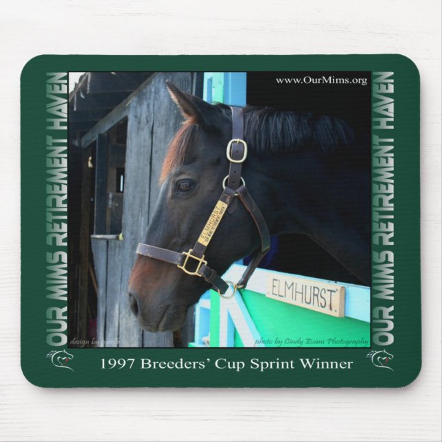 Elmhurst at OMRH Mouse Pad (Front)