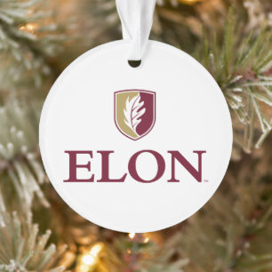 Elon Ornament