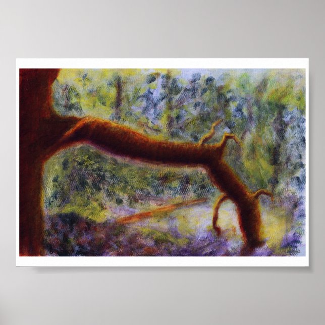 Elora Gorge, Poster (Devant)