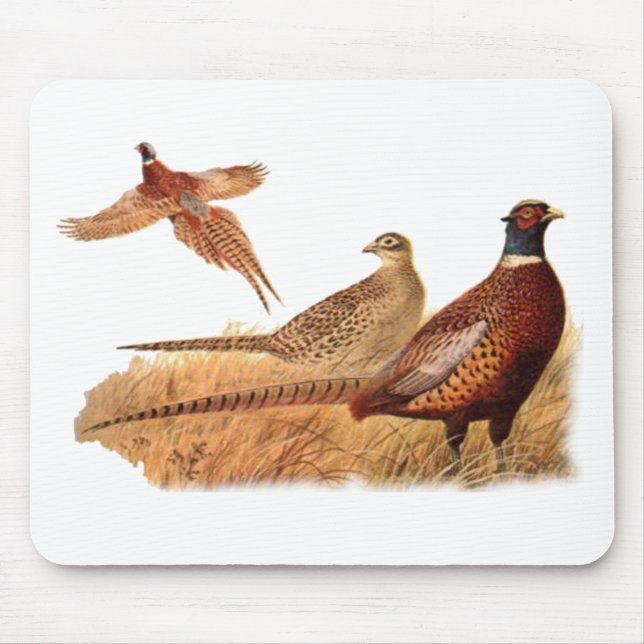 Elusive Pheasant Bird Hunting Mouse Pad (Front)