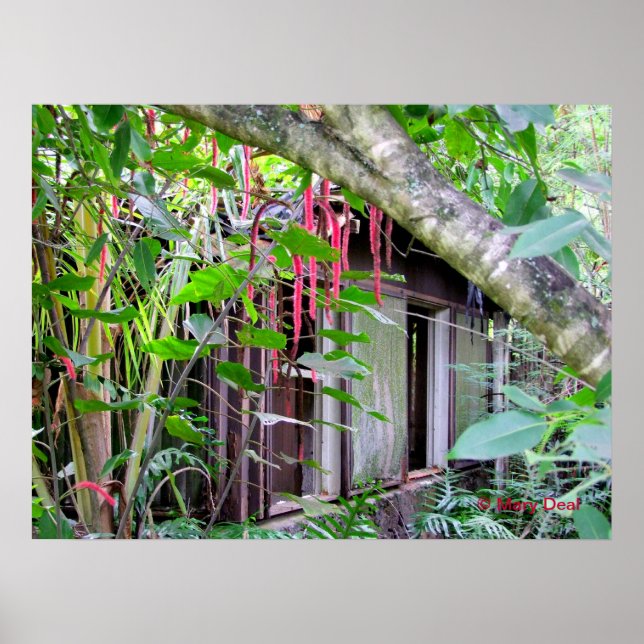 Elvis Presley Bungalow Poster (Front)