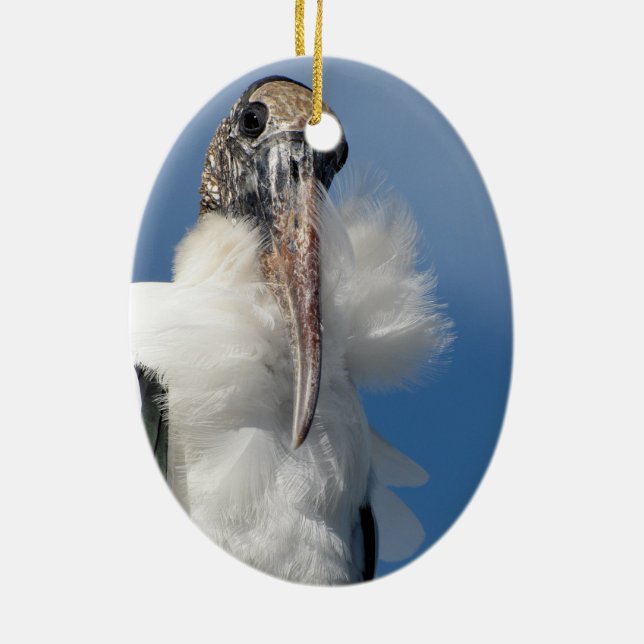 Elvis - Wood Stork - Ornament (Back)