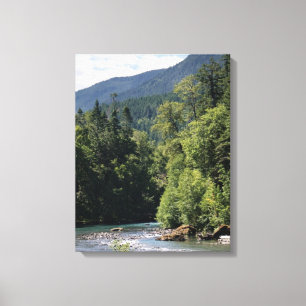 Elwha River in Summer Canvas Print