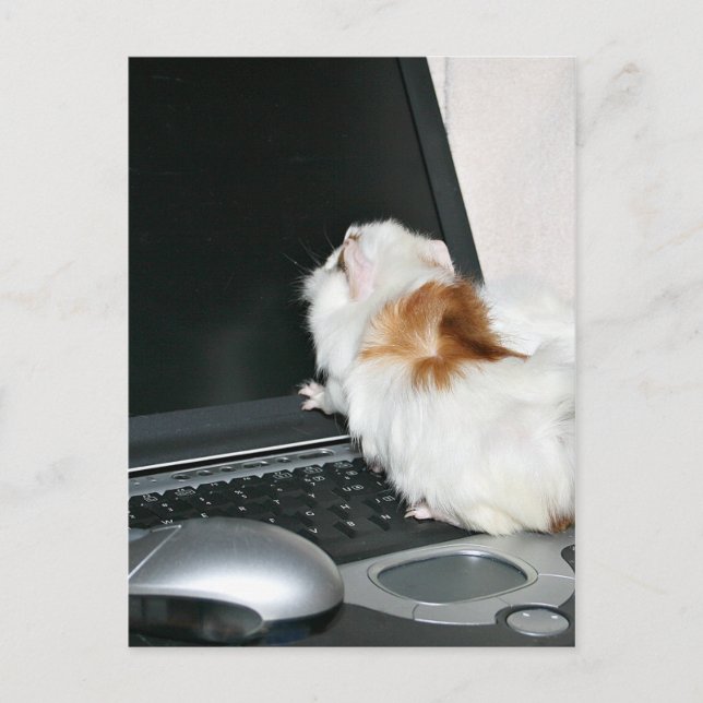 Email me! postcard (Front)