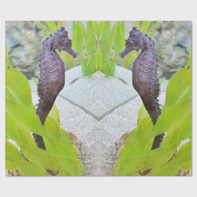 Emballage cadeau Seahorse (Plat)