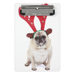 Embarrassed looking Pug wearing Reindeer Antlers Mini Clipboard
