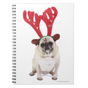 Embarrassed looking Pug wearing Reindeer Antlers Notebook