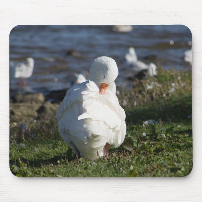Embden Goose Mouse Pad (Front)