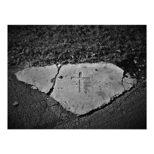 "Embedded by Generations" Photo Print (Front)