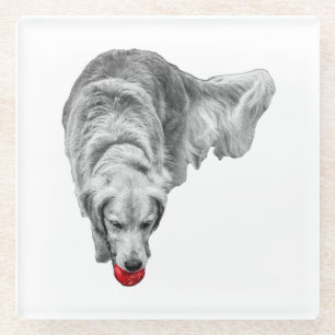 Ember Focus Glass Coaster