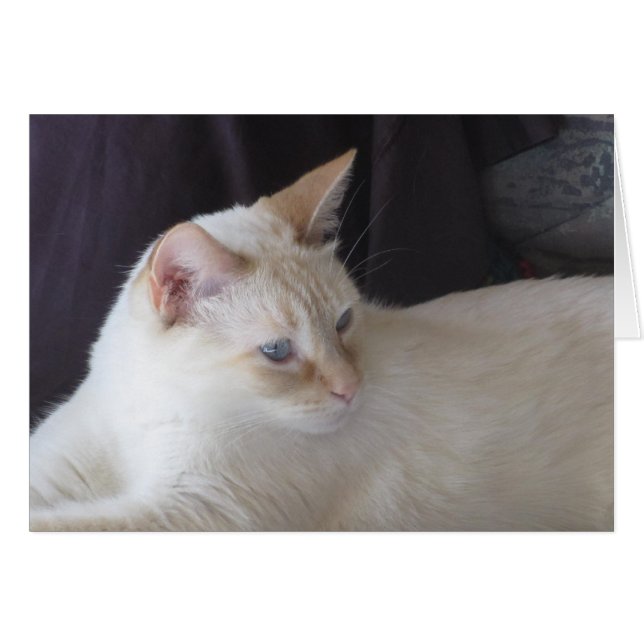 Ember serene (Devant horizontal)