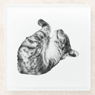 Ember-Step Purr Glass Coaster