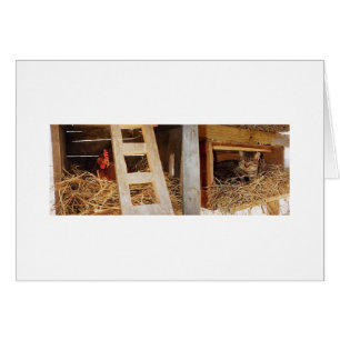 Emboîtement de poule et de chat