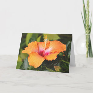 Embossed Coral Hibiscus, Above the Sea Card