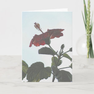 Embossed Dark Hibiscus Card