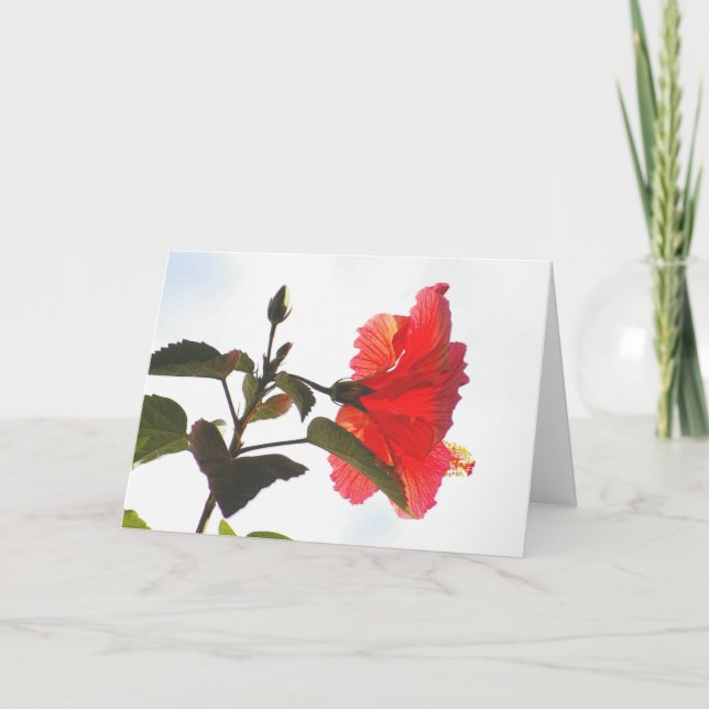 Embossed Red Hibiscus, Cloudscape Card (Front)
