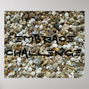 Embrace Challenge. Poster