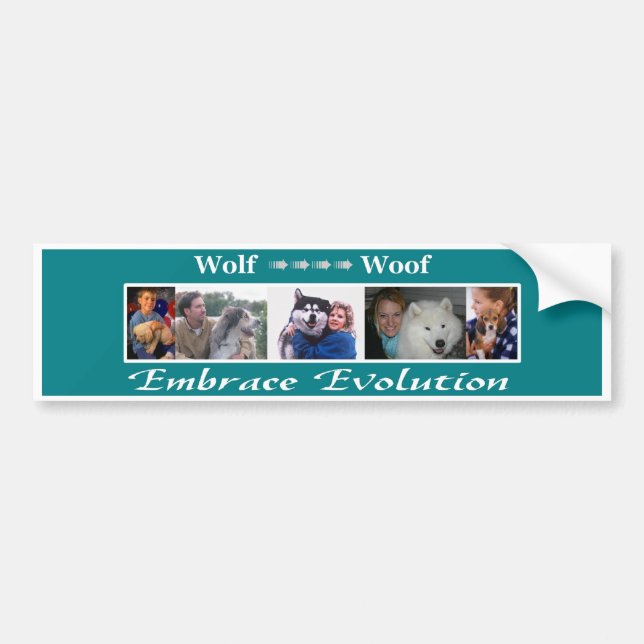 Embrace Evolution Bumper Sticker (Front)