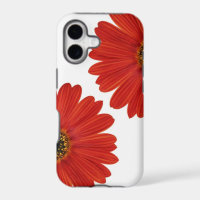 Embrace Happiness Daisies