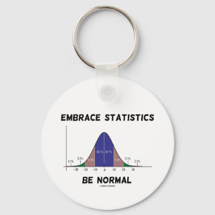Embrace Statistics Be Normal (Bell Curve) Keychain
