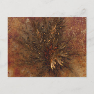 Embracer la nature carte postale fragile