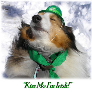 "Embrasse-moi, je suis irlandais !" Carte