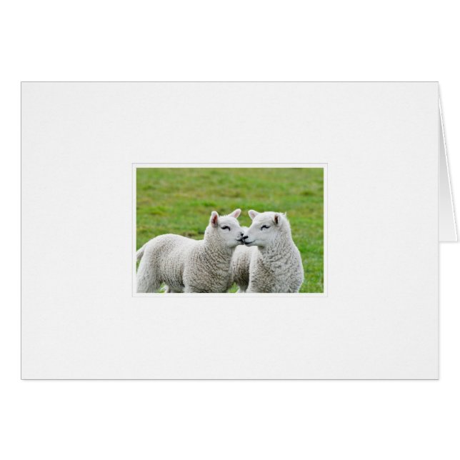 Embrasse-toi et maquille-toi (Devant horizontal)