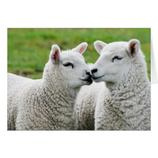 Embrasse-toi et maquille-toi