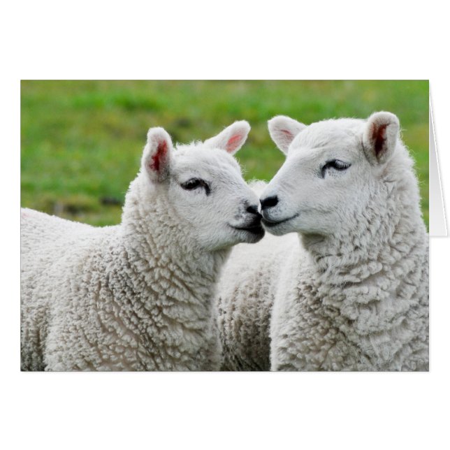 Embrasse-toi et maquille-toi (Devant horizontal)