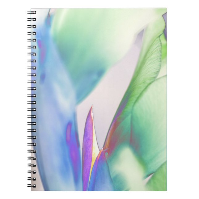 "Embrasser la solitude" Design floral Carnet Spira (Devant)