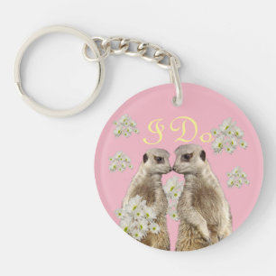 Embrasser les Meerkats,