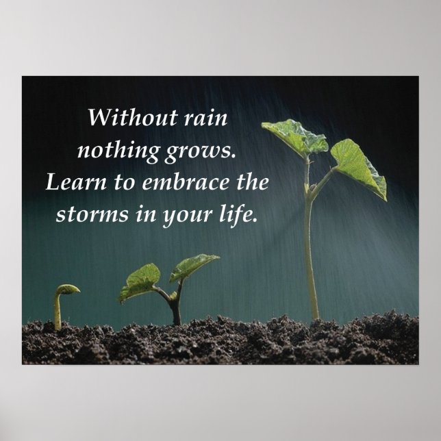 Embrassez La Tempête - Poster Motivationnel (Devant)