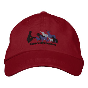Embroidered Grey Logo Cap