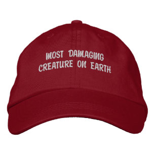 Embroidered Hat