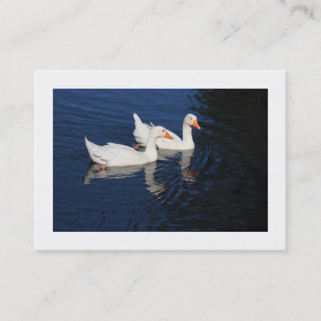 Emden Geese (Bordered) Business Card (Front)