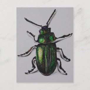 Emerald Beetle Products Postcard