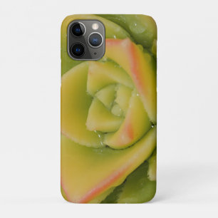 Emerald Bloom: Nature’s Liquid Jewel iPhone 11 Pro Case