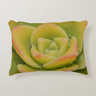 Emerald Bloom Nature Succulent Photo Art Accent Pillow