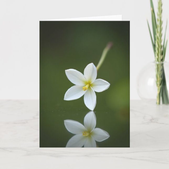 Emerald Bloom Reflection Card (Front)